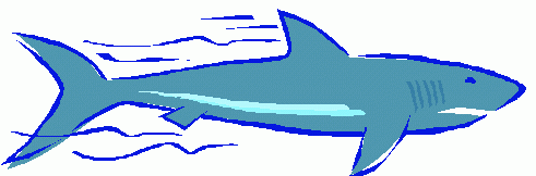491x162 Top 90 Shark Clip Art