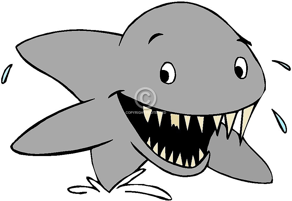 981x675 Clip Art Of Sharks