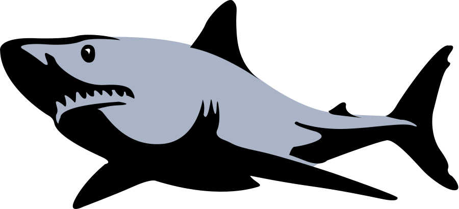 900x410 Mussel Clipart Shark