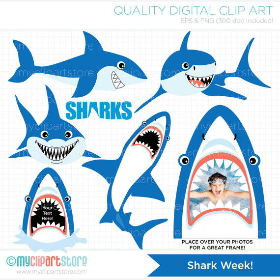 570x570 Sea Shark Clipart, Explore Pictures