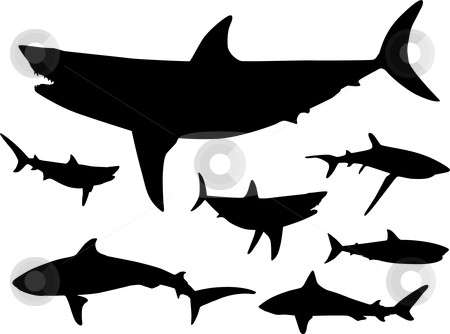 450x334 Shark Fin Clip Art Chadholtz
