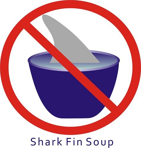 476x500 Shark Fin Soup Clip Art