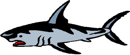 493x209 Shark Clipart Art