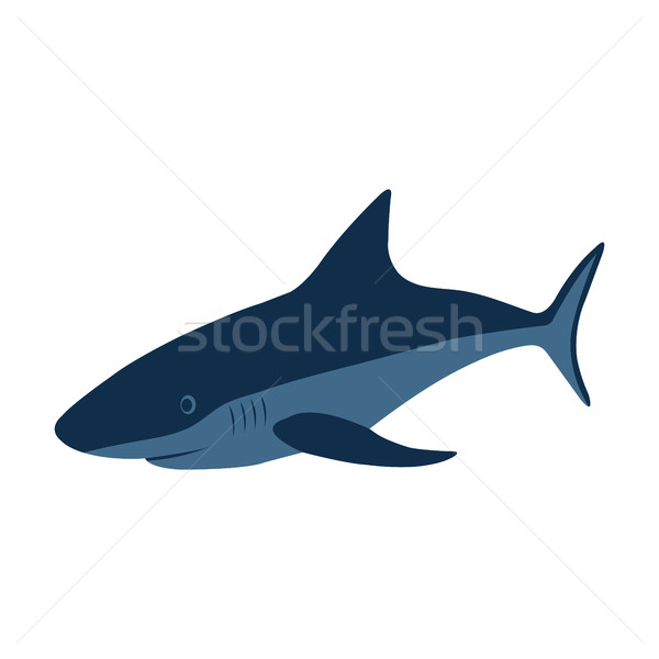 600x600 Great White Shark Stock Vectors, Illustrations And Cliparts