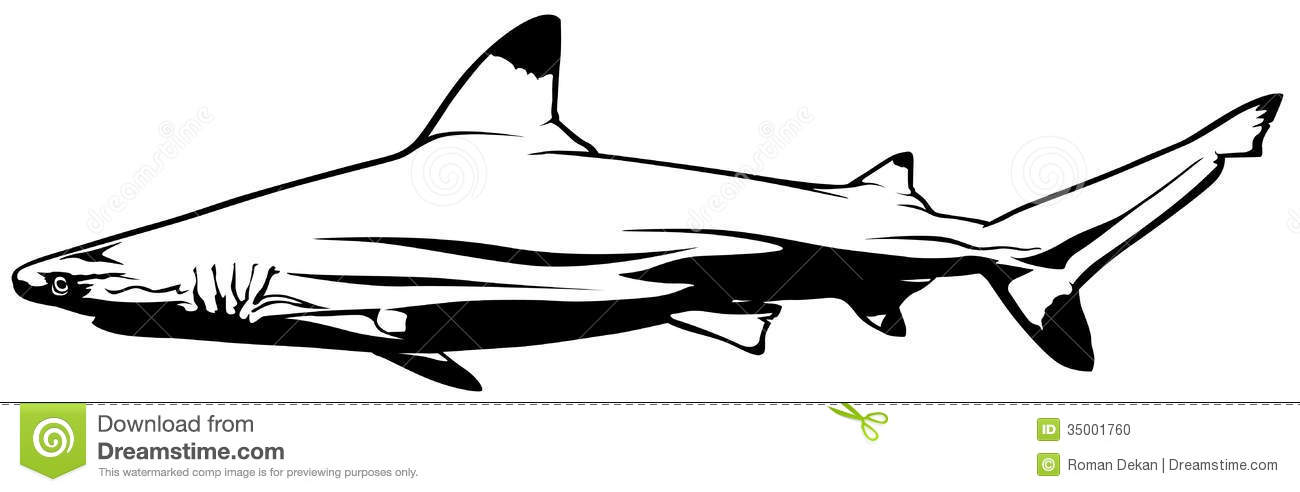 1300x492 Hammerhead Clipart Shark Fin