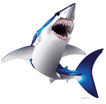 355x349 Mako Shark Vector Illustration Marine Wildlife Fine Art, Custom