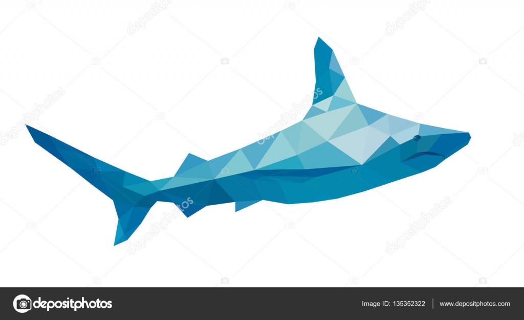 1024x627 Polygon Shark, Vector Stock Vector Colorvalley