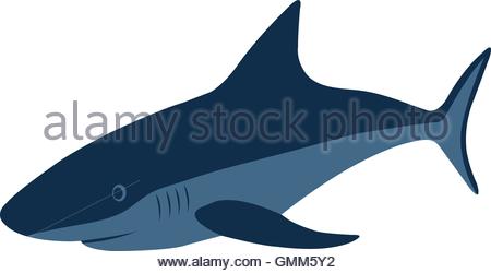 450x250 Shark. Vector Illustration Stock Vector Art Amp Illustration, Vector