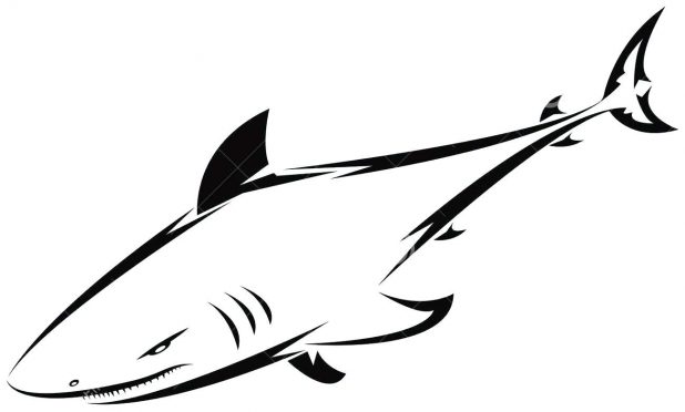 618x372 New Shark Outline Embroidered T Shirt 81 Marvellous Printable