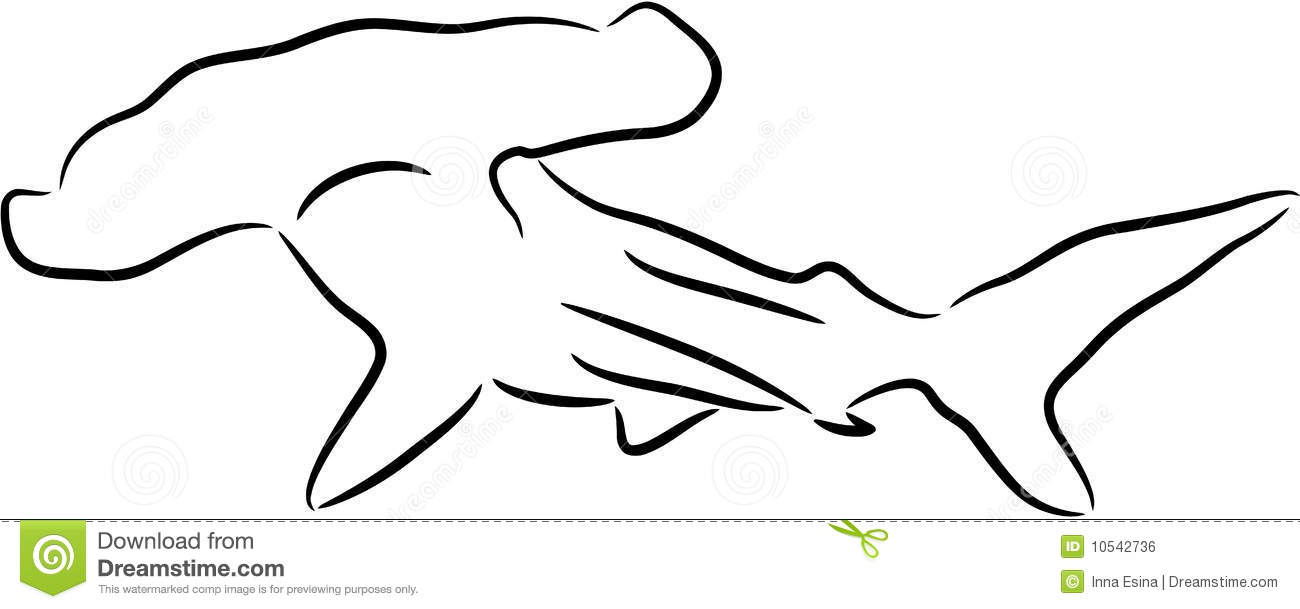 1300x609 Outline Drawing Of A Shark