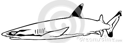 400x143 Shark Fin Outline Clipart