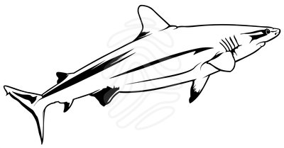 Shark Fin Outline | Free download on ClipArtMag