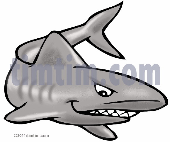 580x485 Shark Drawings