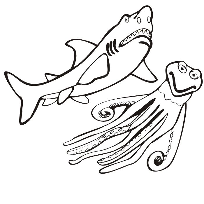 700x699 16 Best Sharks Coloring Pages Images Shark