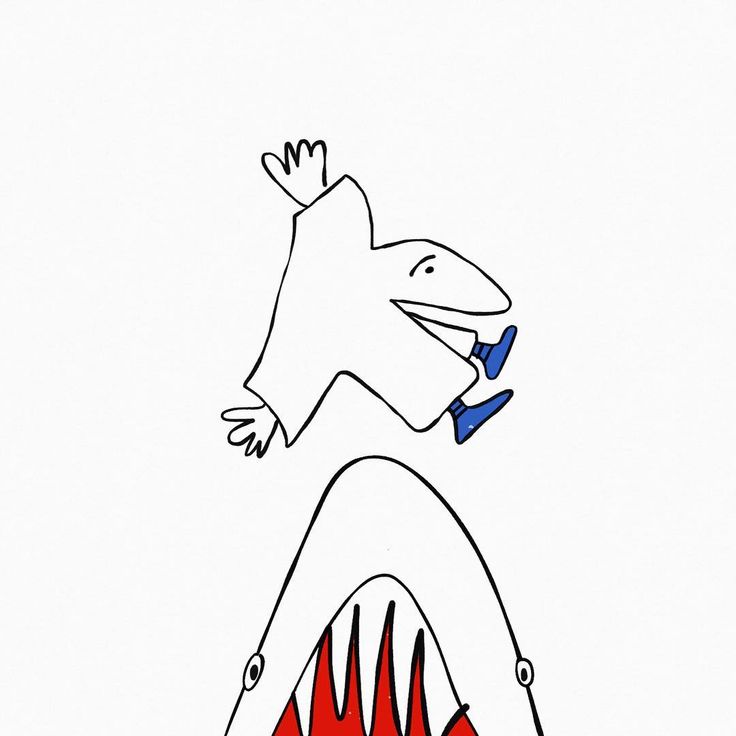 736x736 170 Best Shark Images