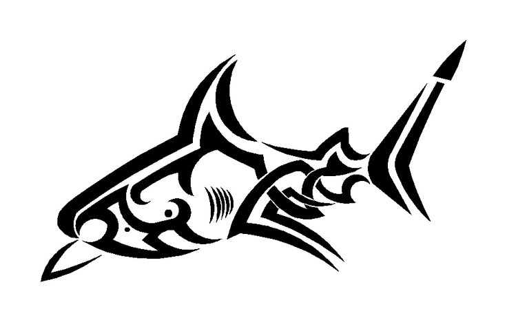 736x468 Good Outline Tribal Shark Tattoo Design