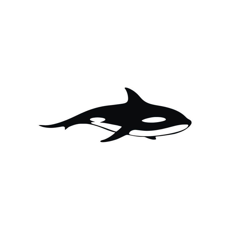 800x800 Outline Of Shark Wall Stickers Home Decoration Accessories Wall
