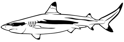 473x160 Shark Clipart Shark Outline