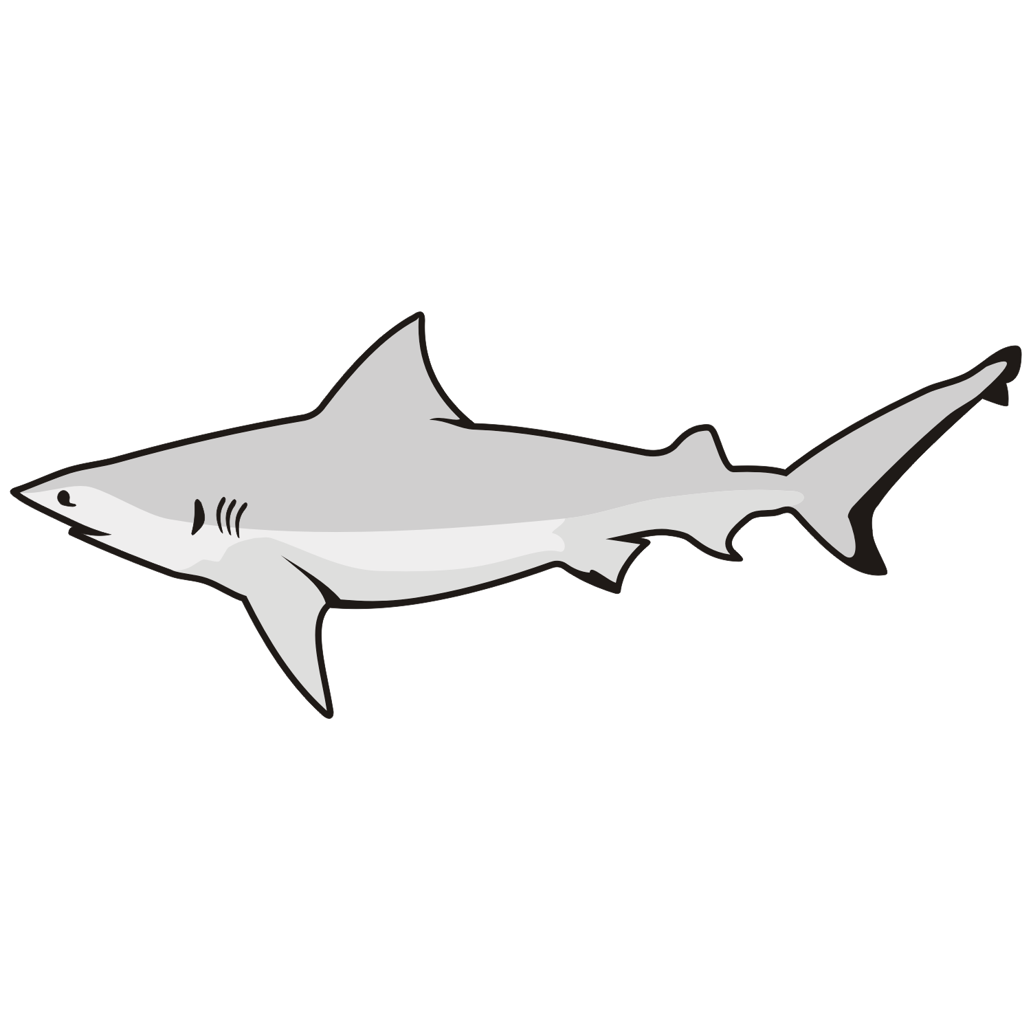 1500x1500 Shark Vector 12 An Images Hub