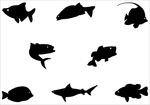 501x351 Fish Silhouette Vector Graphics In This Collection Of Silhouette
