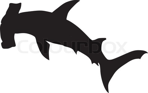 480x303 Graphics For Hammerhead Shark Graphics