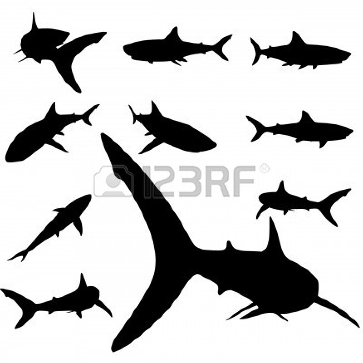 1200x1200 Hammerhead Clipart Great White Shark