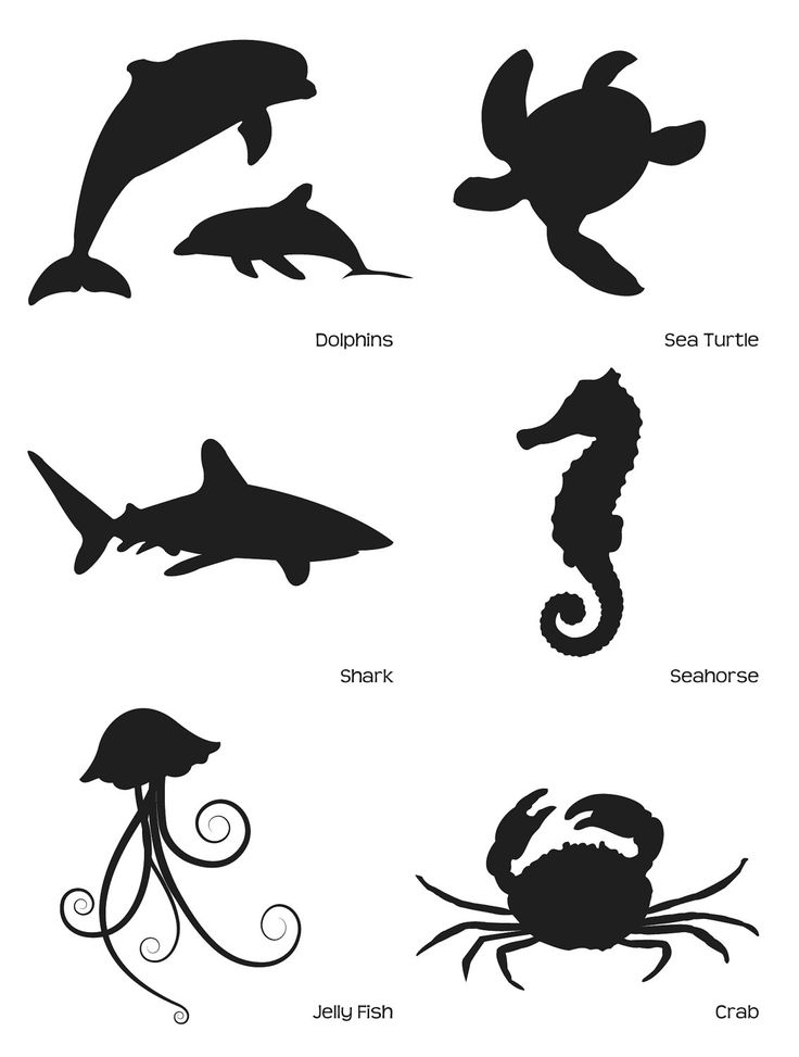 736x973 Best Fish Silhouette Ideas Deep Sea Vbs