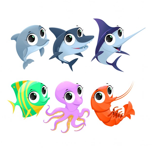 626x626 Shark Vectors, Photos And Psd Files Free Download