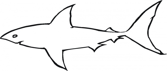 700x299 Shark Outline Clip Art Clipart