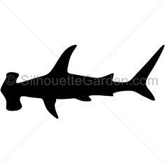 236x234 Shark Shadow Images
