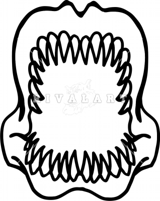 318x400 Megalodon Shark Tooth Clip Art Cliparts