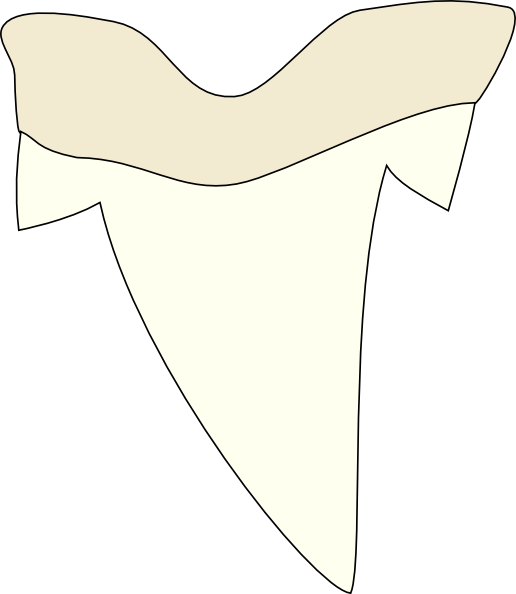 516x594 Shark Tooth Clip Art