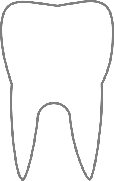 378x599 Tooth Outline Clipart