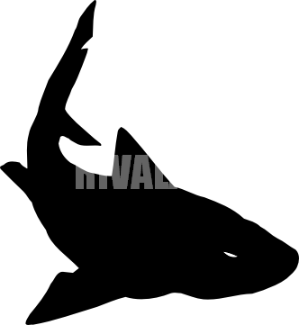332x361 Silhouette Shark Clipart, Explore Pictures