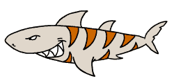 250x120 Tiger Shark Clipart, Explore Pictures