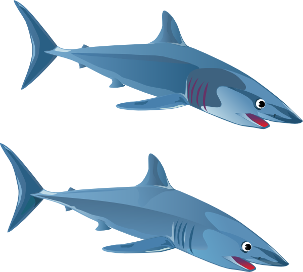 600x540 Blue Shark Clip Art