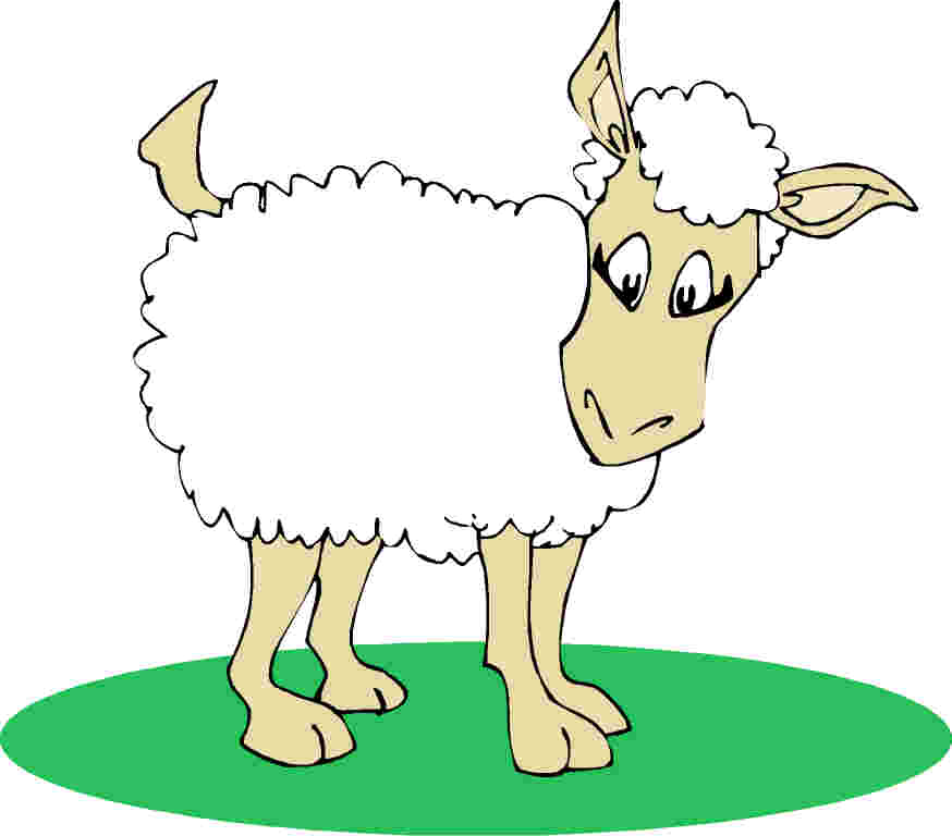 874x768 Sheep Image Clip Art