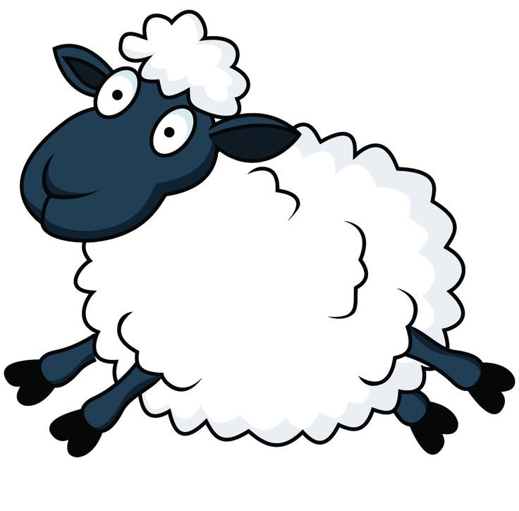 736x724 Best Sheep Cartoon Ideas Sheep Vector, Cute
