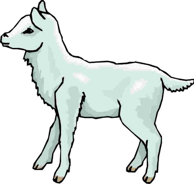 809x768 Lamb Clip Art Free Clipart Images 8