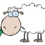 150x150 Stylish Idea Sheep Clip Art Free Vector For Download About 4