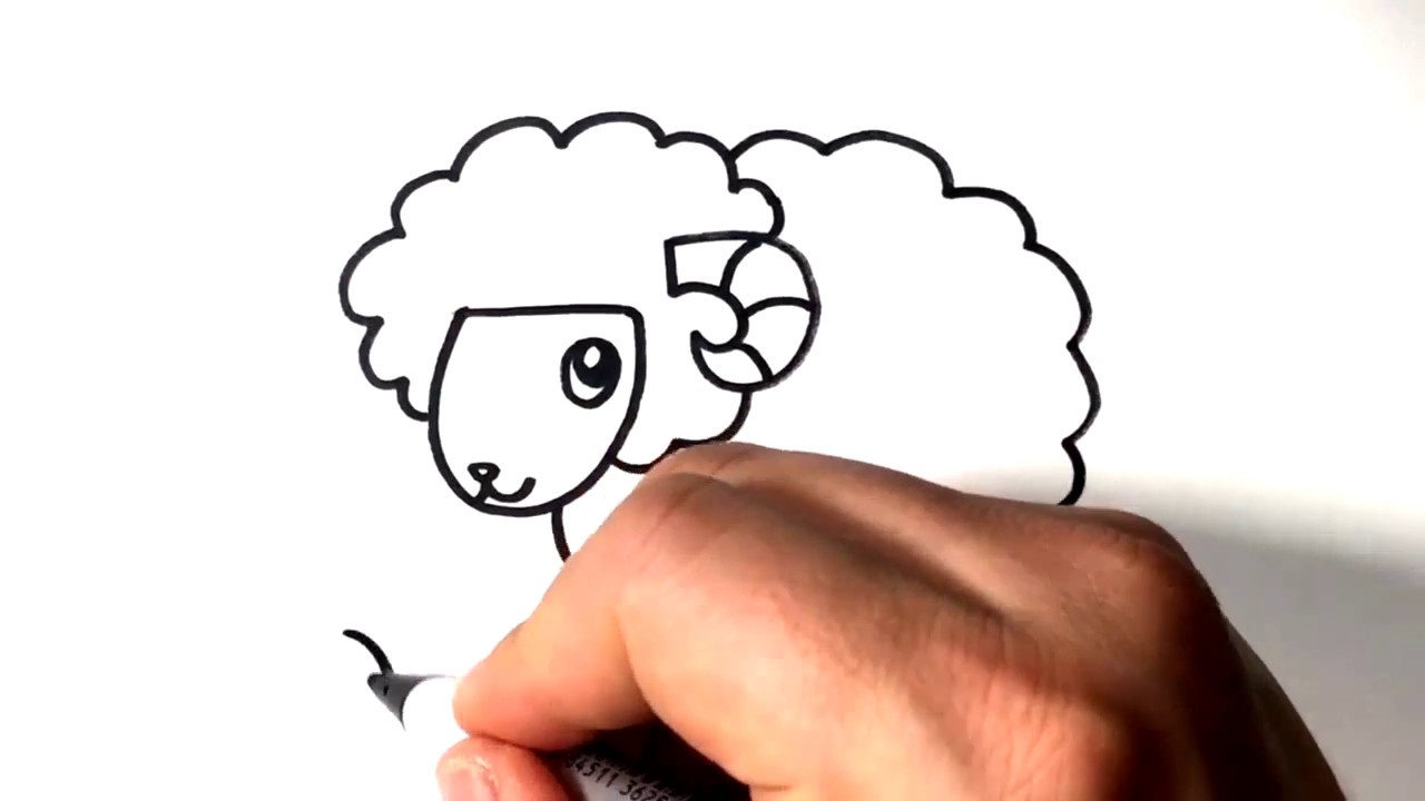 1280x720 How To Draw Sheep Easy Drawing Ideas For Kids Online Courses
