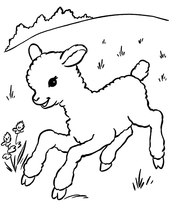 670x820 Sheep Outline Coloring Pagez Coloring Pages Coloring Page
