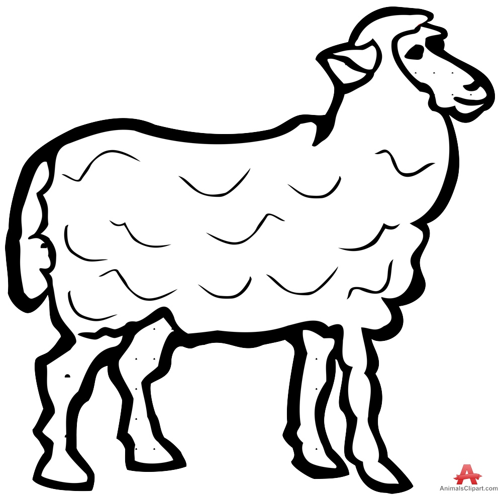 999x988 Sheep Outline Contour Drawing In Black And White Free Clipart