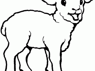 320x240 Sheep Outline Free Printable Sheep Coloring Pages For Kids