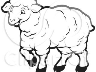 320x240 Sheep Outline Royalty Free Rf Clipart Illustration Of A Coloring