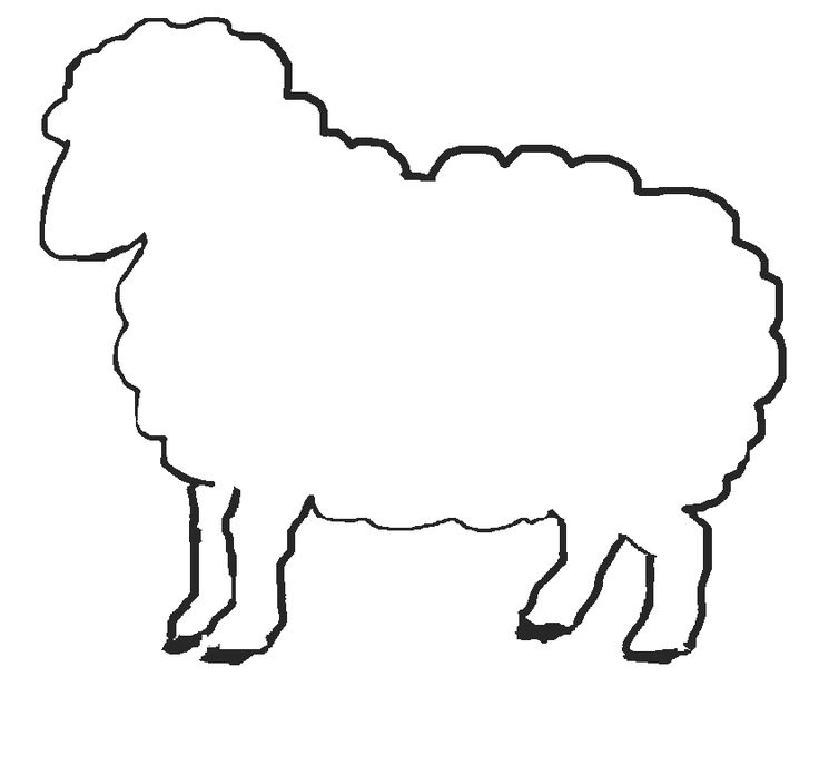 736x704 Coloring Pictures Of Sheep Ear Patterns