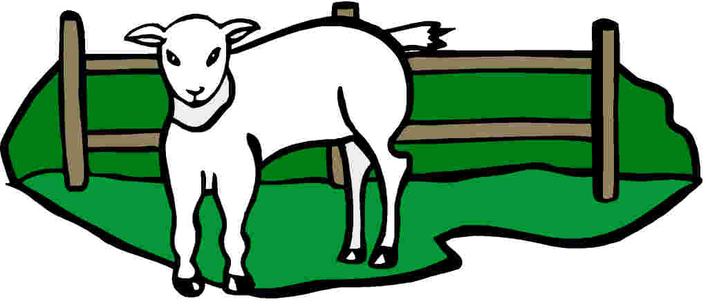 1024x443 Sheep Clip Art