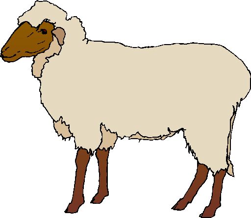 512x445 Sheep Clip Art Free Clipart Images
