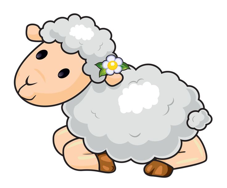 736x610 Sheep Clipart Five