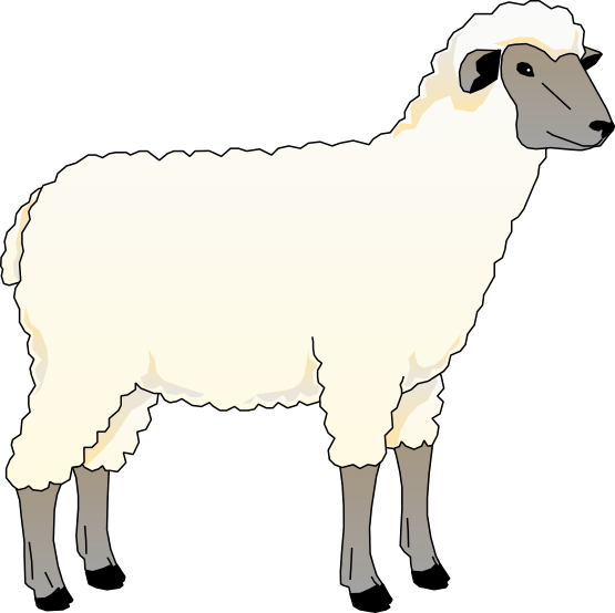 555x554 Sheep Free To Use Clip Art 2